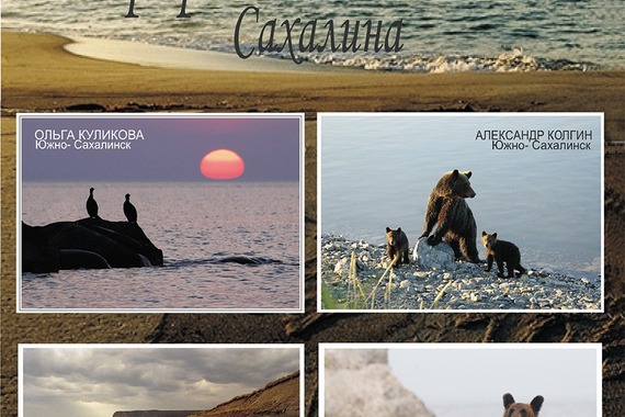 Природа и&nbsp;медведи Сахалина